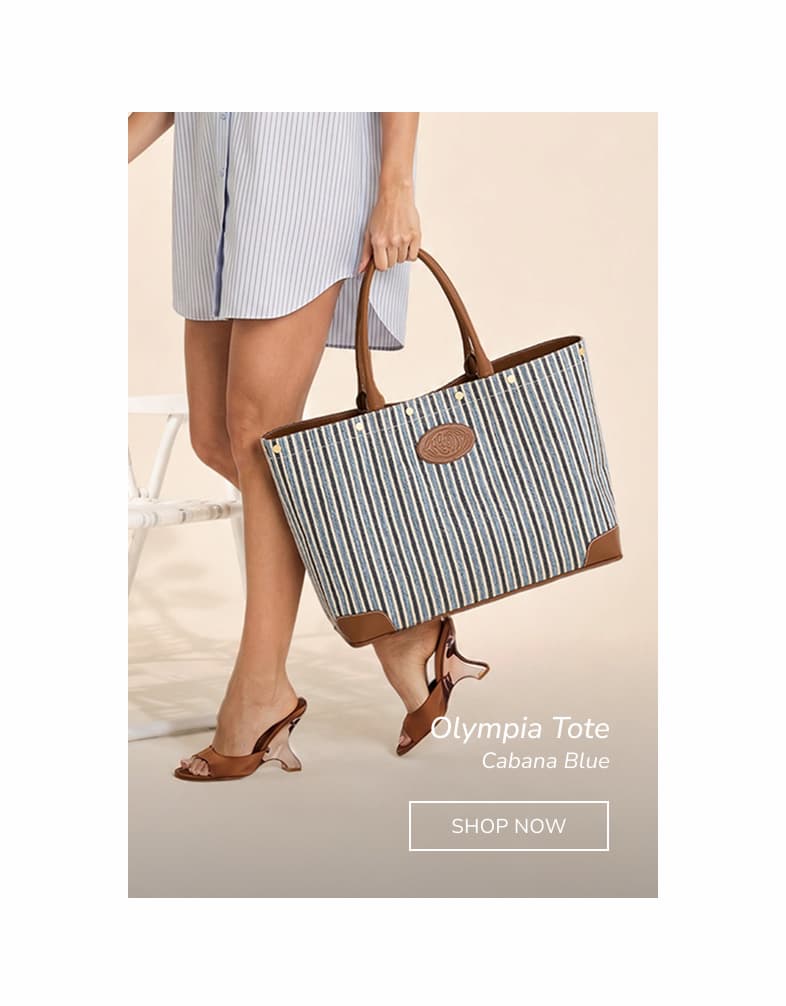 Hammitt Olympia Tote in Cabana Blue striped woven fabric.