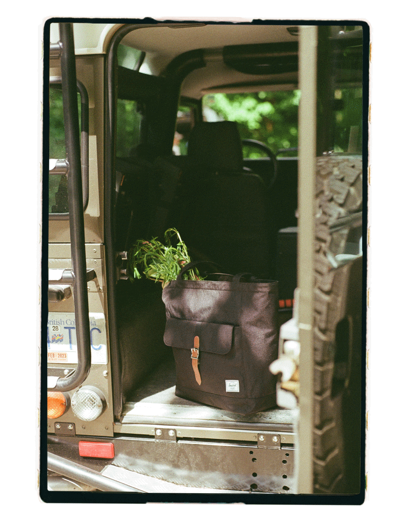 Herschel Totes