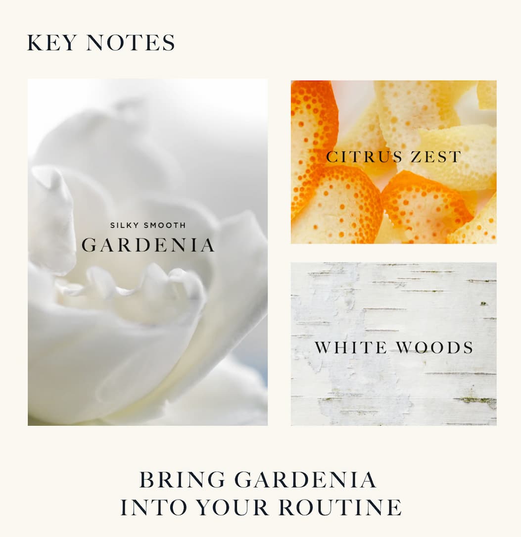 Key notes - Gardenia - Citrus zest - White woods | Bring Gardenia Into Your Routine