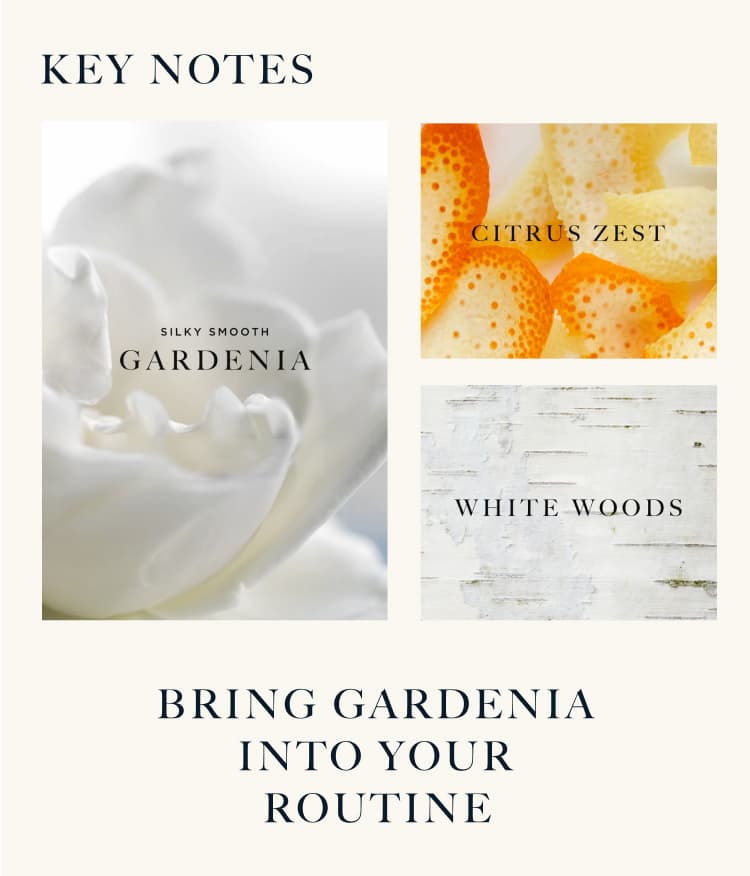Key notes - Gardenia - Citrus zest - White woods | Bring Gardenia Into Your Routine