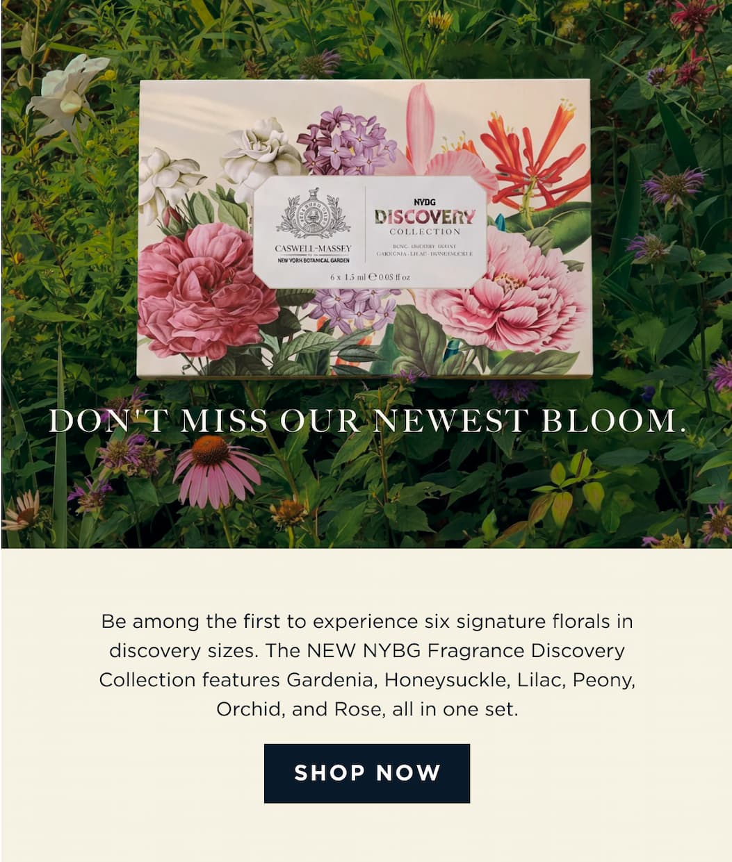 DON'T MISS OUR NEWEST BLOOM. Be among the first to experience six signature florals in discovery sizes. The NEW NYBG Fragrance Discovery Collection features Gardenia, Honeysuckle, Lilac, Peony, Orchid, and Rose, all in one set. [ SHOP NOW ]