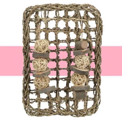 Save 20% on Trixie Mat with Toys Sea Grass for Small Animal