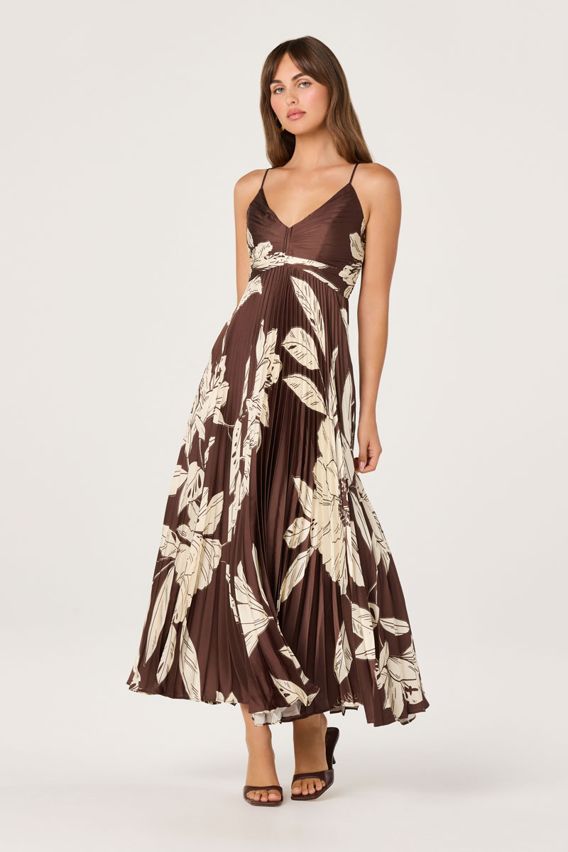 Woman Wearing Pleated Satin V-Neck Maxi Dress