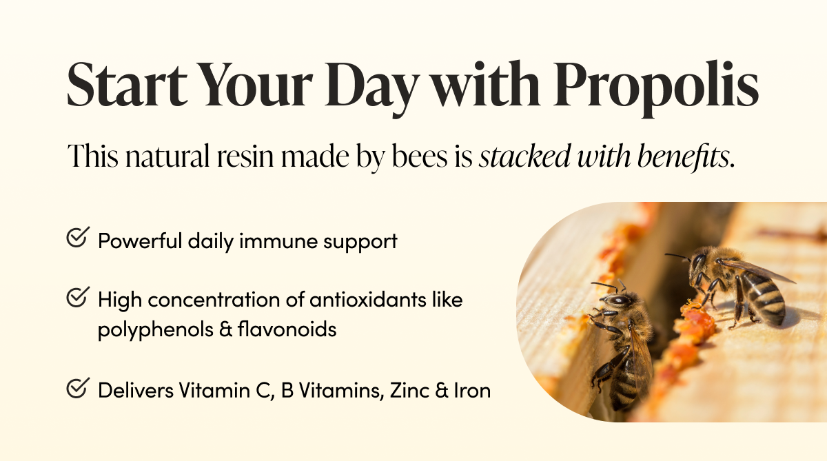 Start Your Day with Propolis This natural resin made by bees is stacked with benefits.   Powerful daily immune support High concentration of antioxidants like polyphenols & flavonoids  Delivers Vitamin C, B Vitamins, Zinc & Iron 