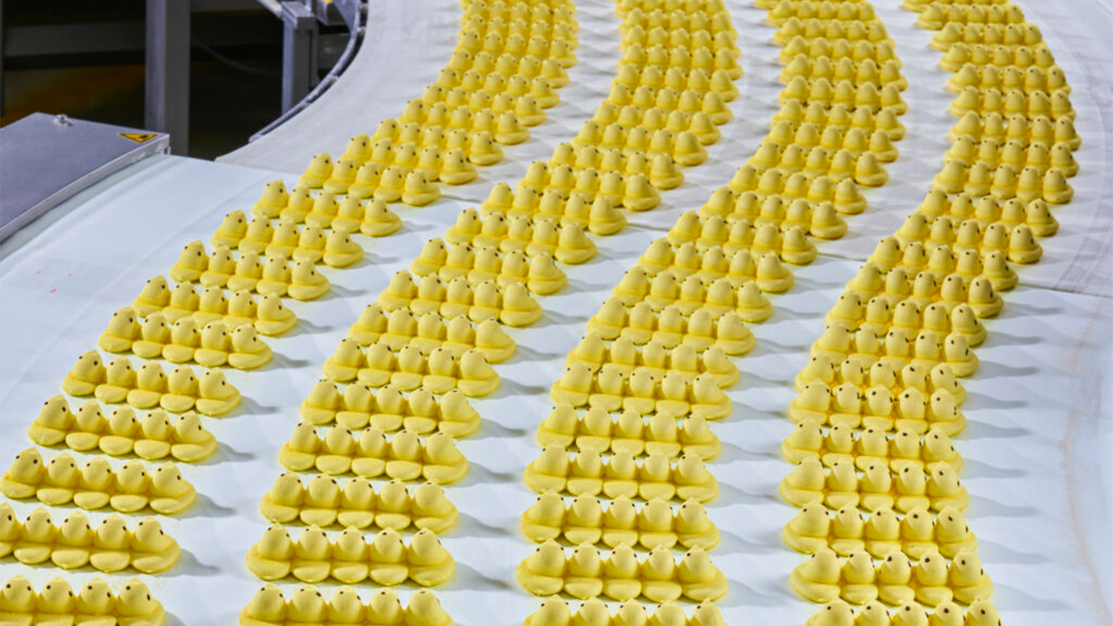 Rubber ducks on production line