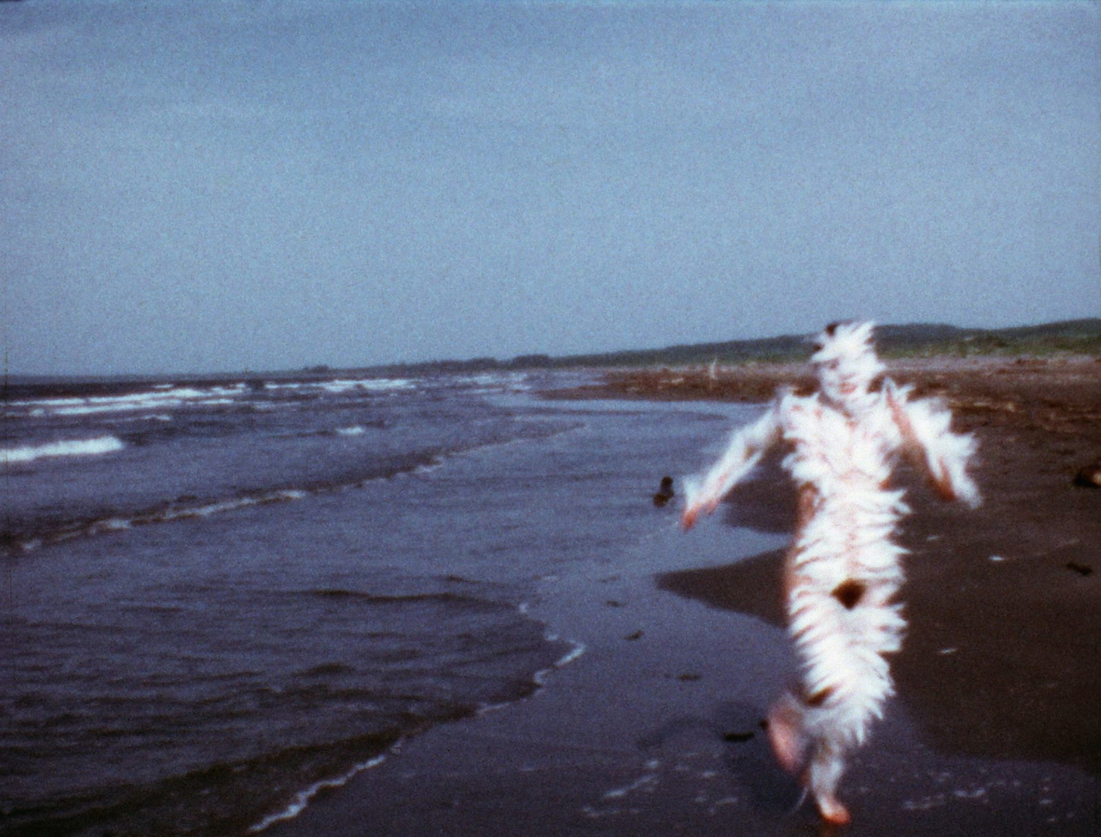 Film still of artist covered in feathers running on beach