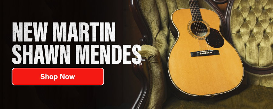 ShawnMendesMartin