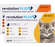 Revolution Plus