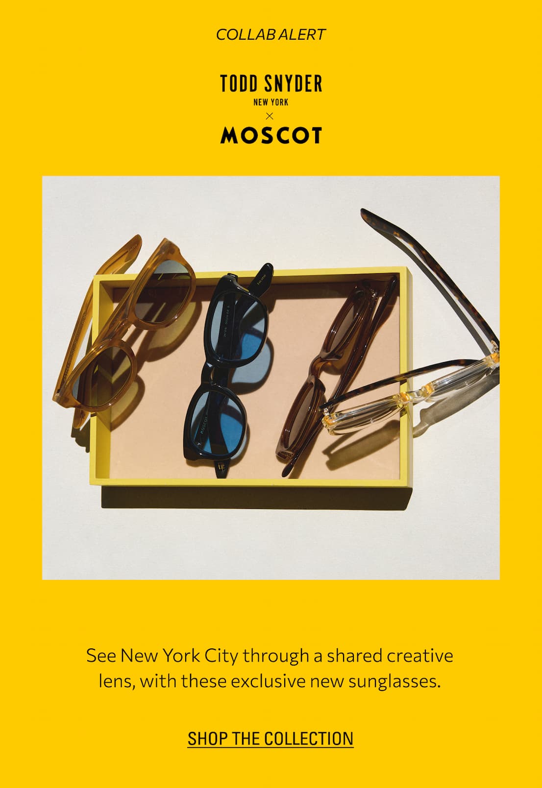 Todd Snyder x Moscot