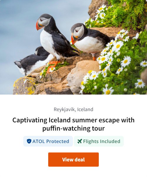 Captivating Iceland summer escape with puffin-watching tour