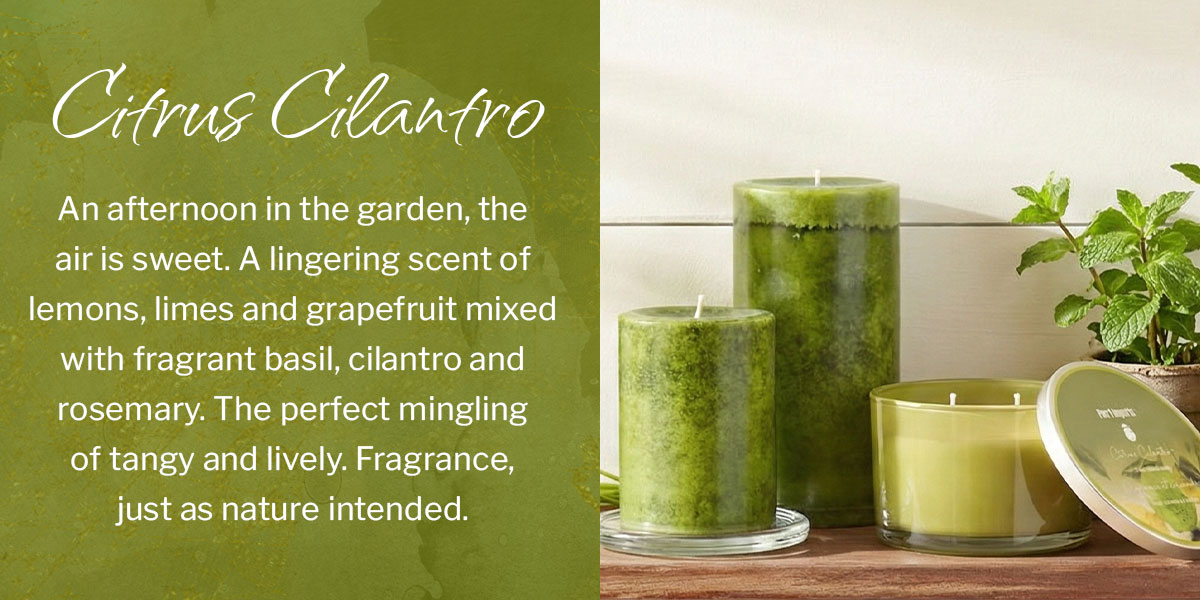 Citrus Cilantro 
