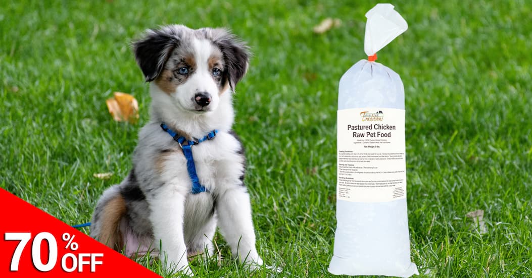 70% OFF Chicken Raw Pet Food