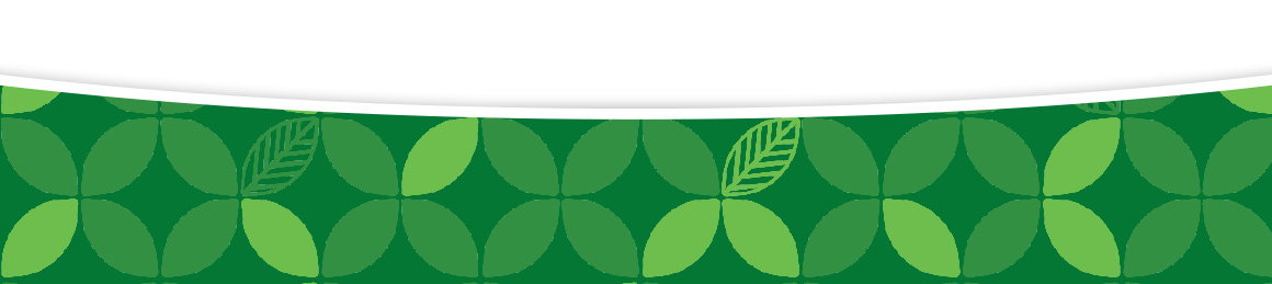 Dollar Tree 40th Anniversary footer banner
