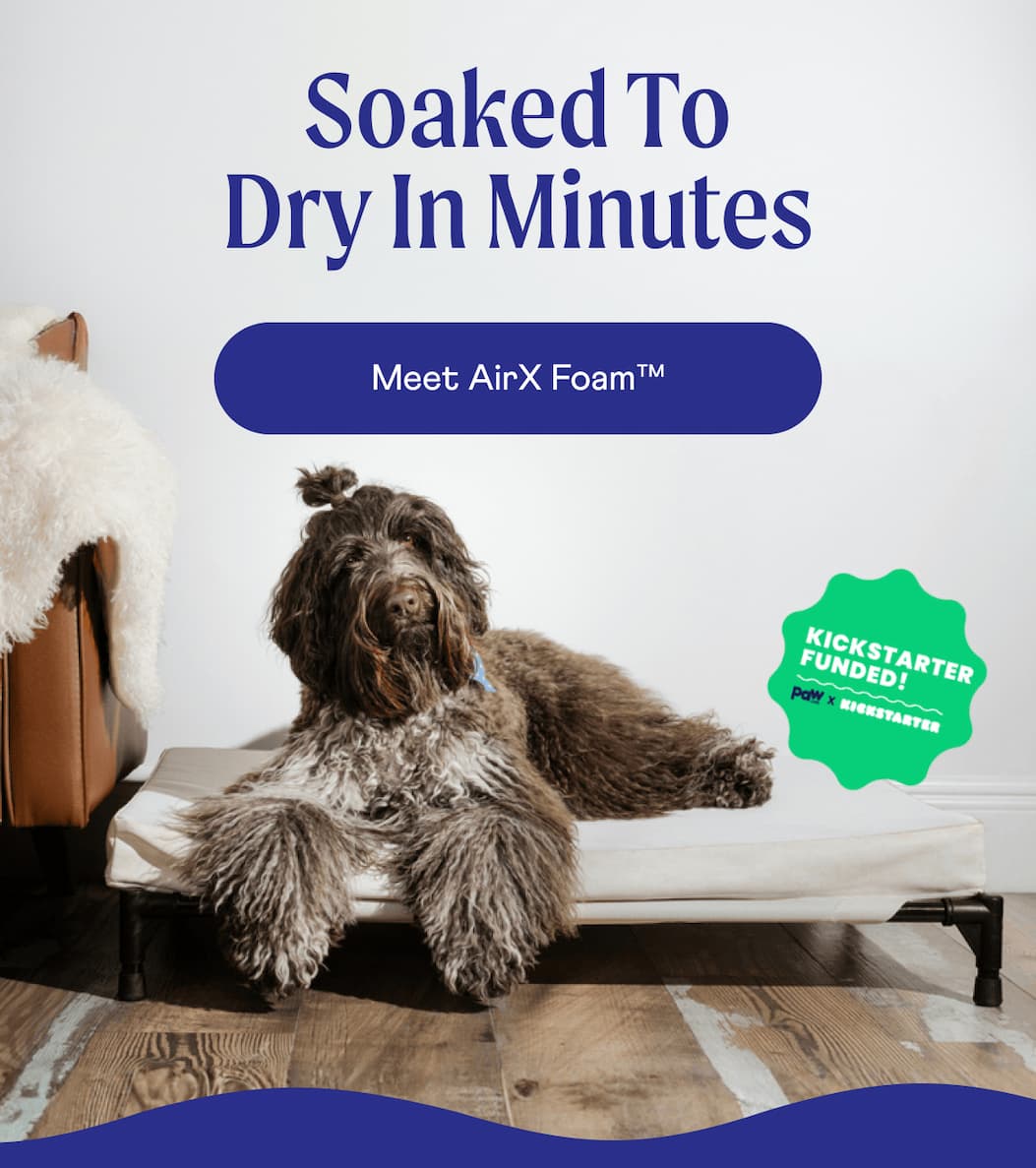 Soaked to Dry in Minutes  | Meet AirX Foam™