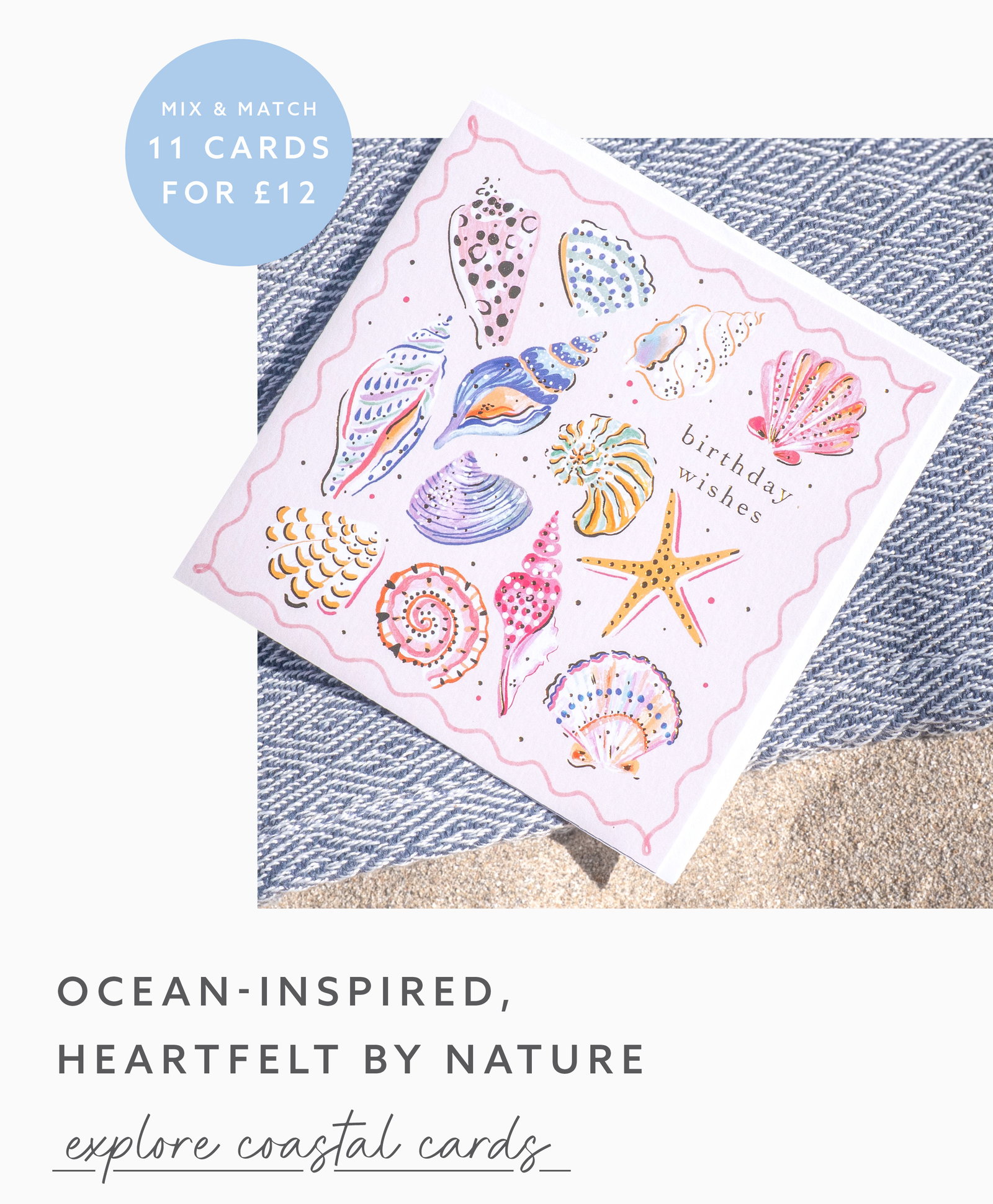 A coastal greetings card featuring illustrated seashells with the message 'Birthday Wishes'. Explore our collection of ocean-inspired greetings cards. 11 cards for £12.