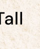 Big & Tall