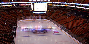 Boston Bruins