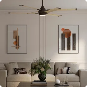 Ceiling Fans