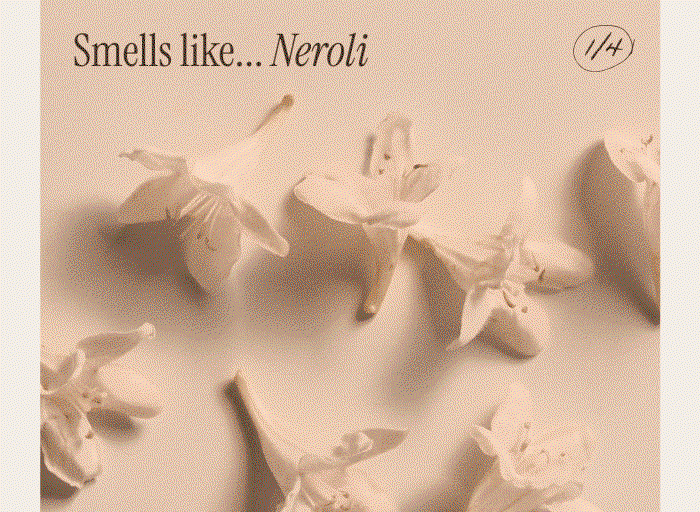 Smells like....