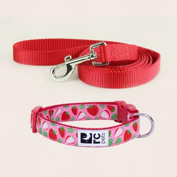 dog collars and leashes under $20