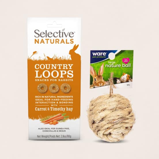 small animal toys and treats under $10