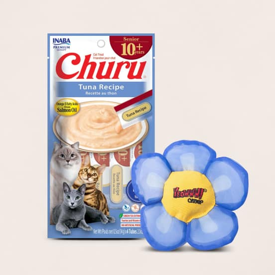 cat toys and treats under $10