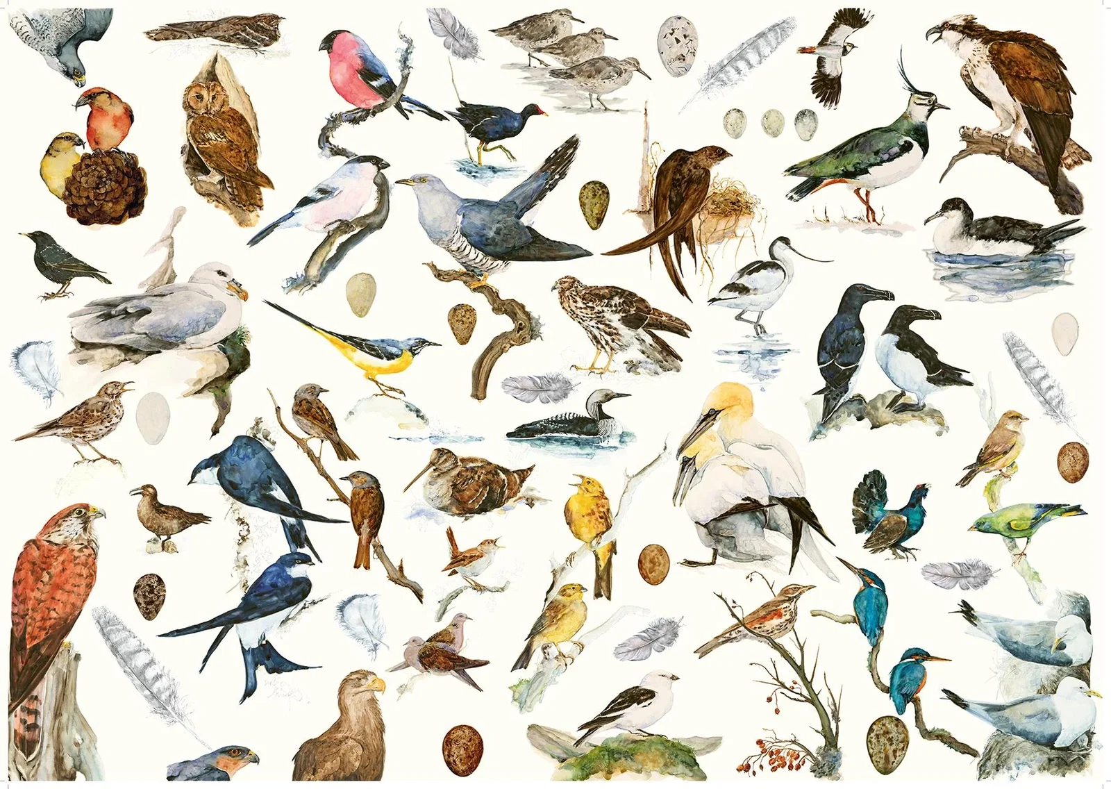 Image of The Book of Birds 1000 Piece Jigsaw Puzzle