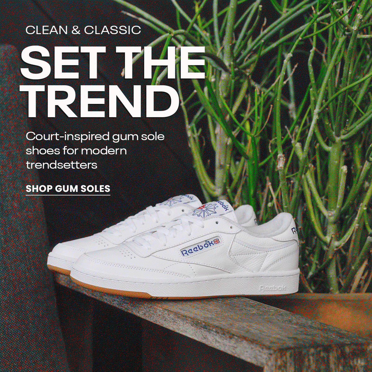 classics-trending