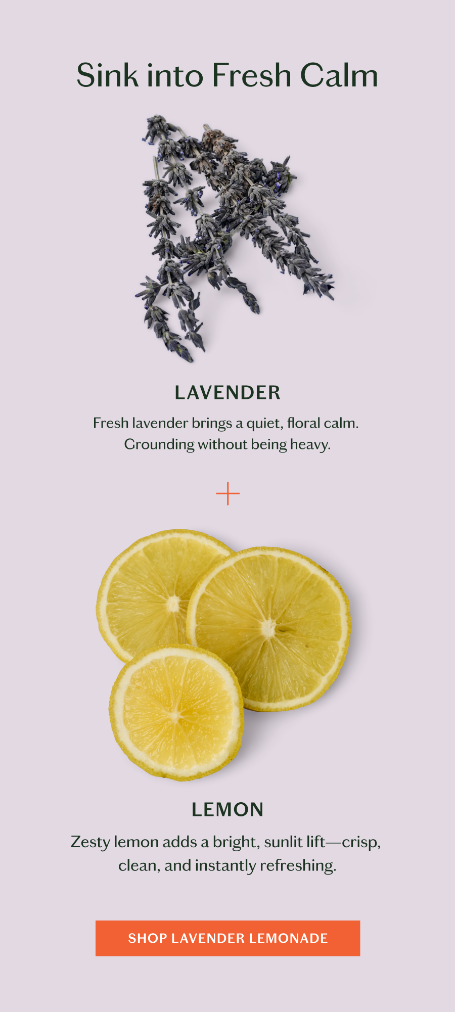 Shop Lavender Lemonade