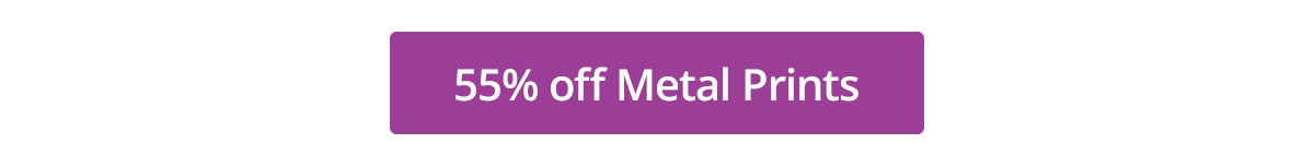 55% off Metal Prints