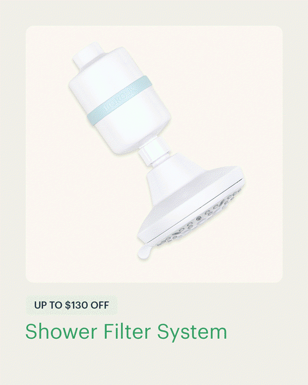 Shower Filter System