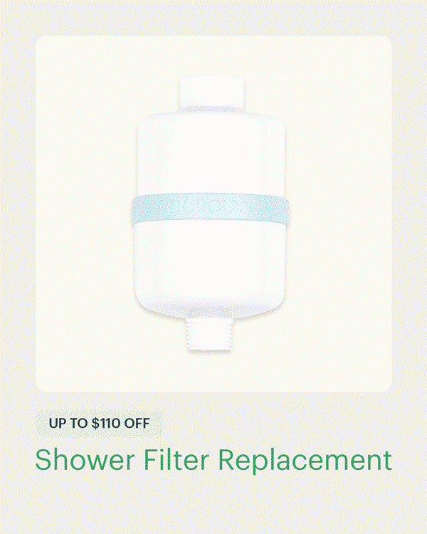 Shower Filter Replacement