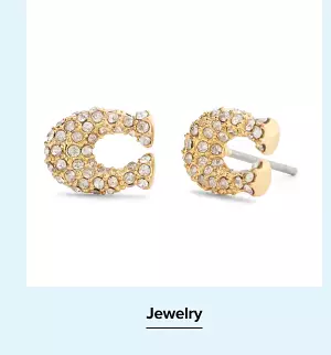A pair of earrings. Jewelry.