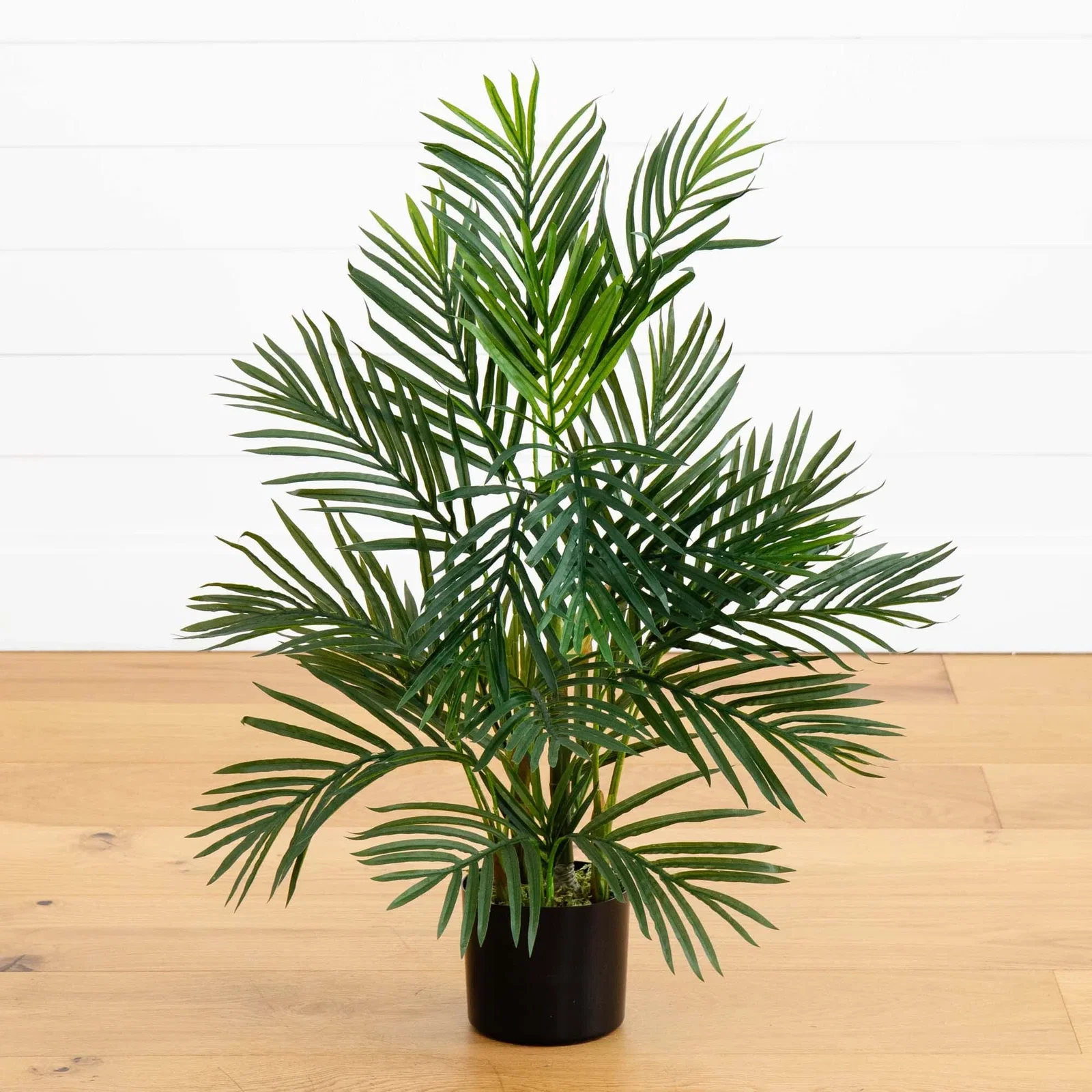 Image of 2.5' Areca Palm Tree UV Resistant (Indoor/Outdoor)