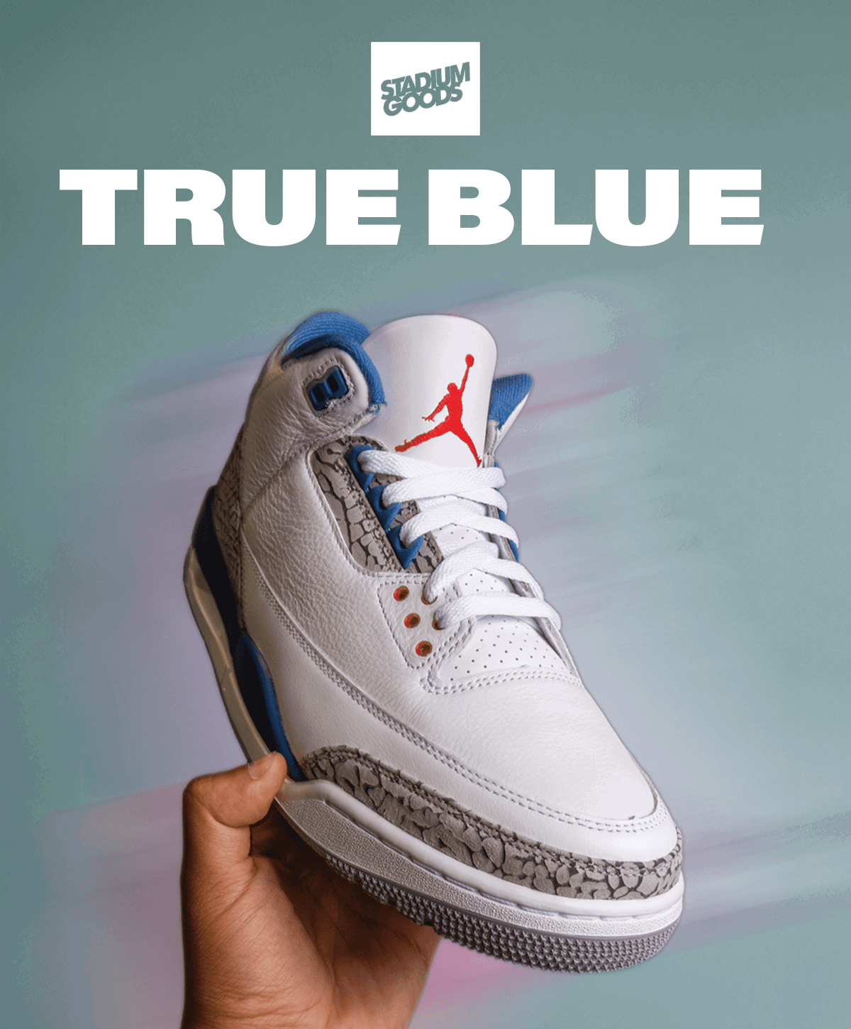 Air Jordan 3 