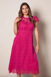 Lace Fit And Flare Midi Dress