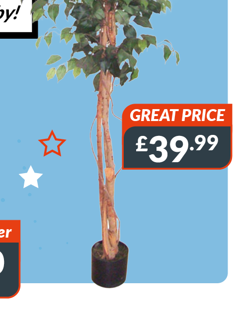 Ficus liana tree. Great price - £39.99
