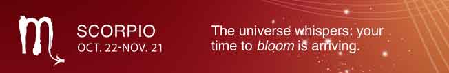 The universe whispers: your time to bloom is arriving.
