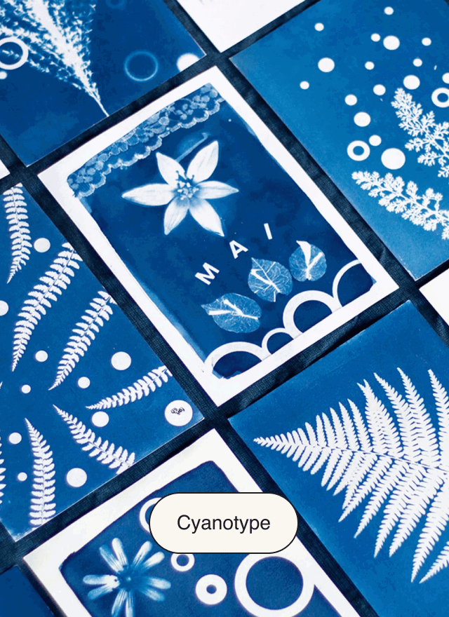 Nos ateliers cyanotype