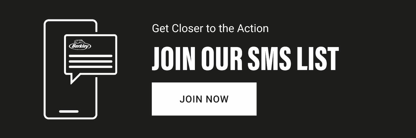 SMS Pitch