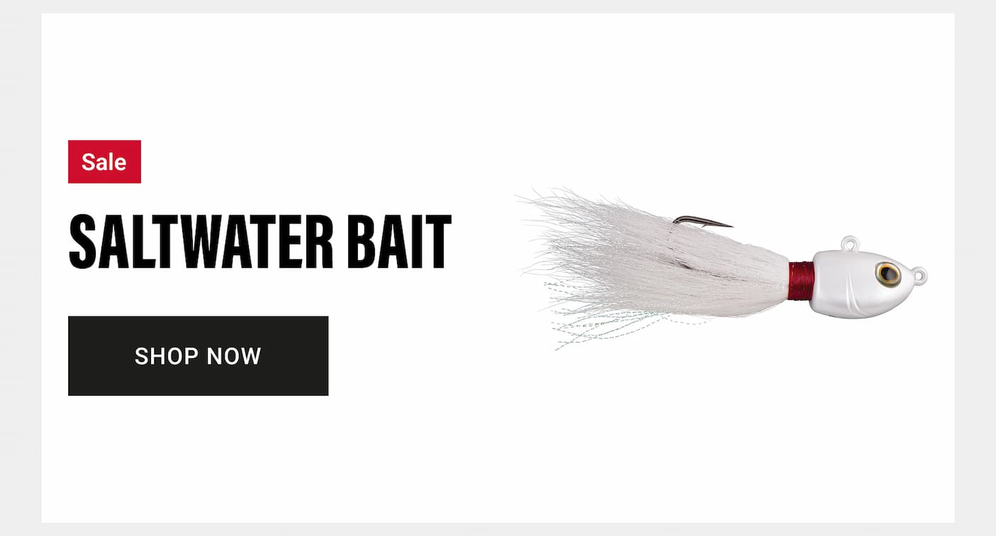 Saltwater Bait