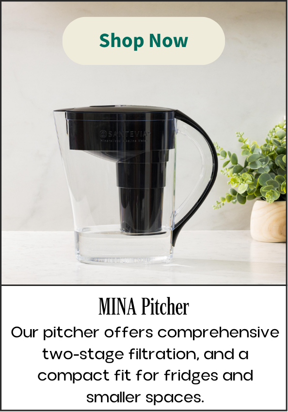 mina pitcher