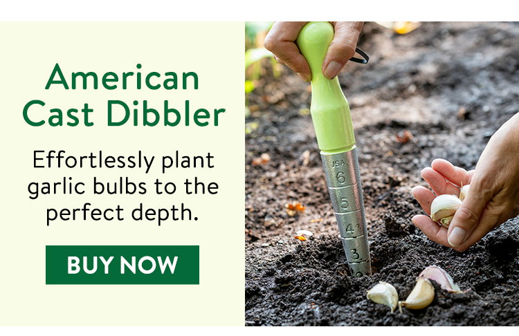Burpee American Cast Dibbler