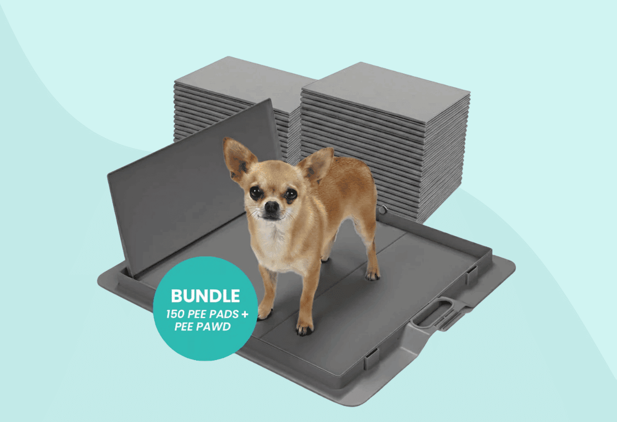Potty Training Bundle