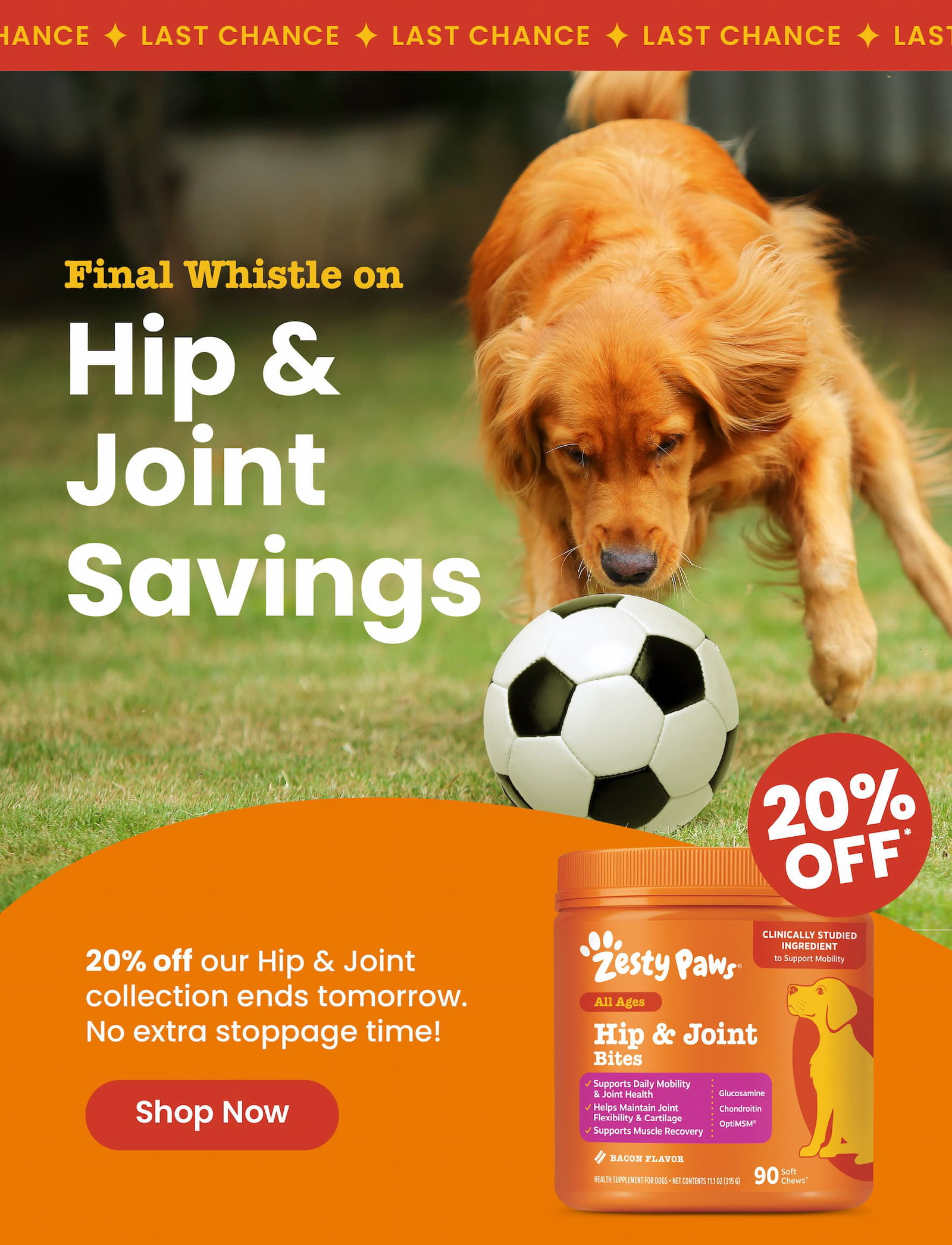 Last chance! Final whistle on Hip & Joint savings! 20% OFF ends tomorrow. Shop now!