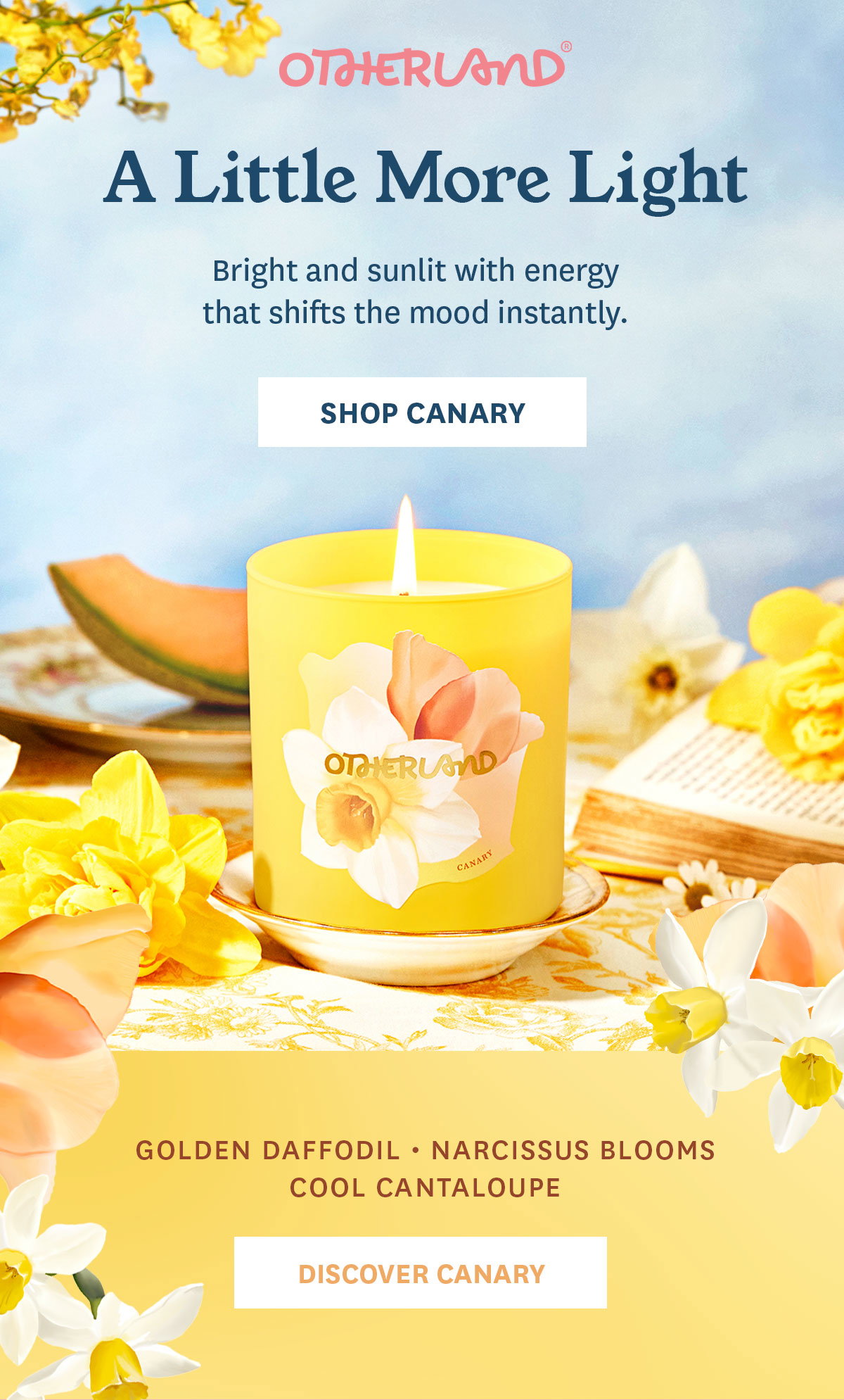 Discover Canary: Golden Daffodil, Narcissus Blooms, Cool Cantaloupe.