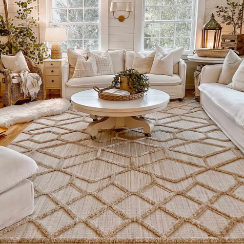 Shop Area Rugs at Steinmart.com
