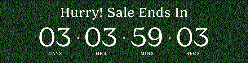 Hurry! Sale Ends Countdown Timer