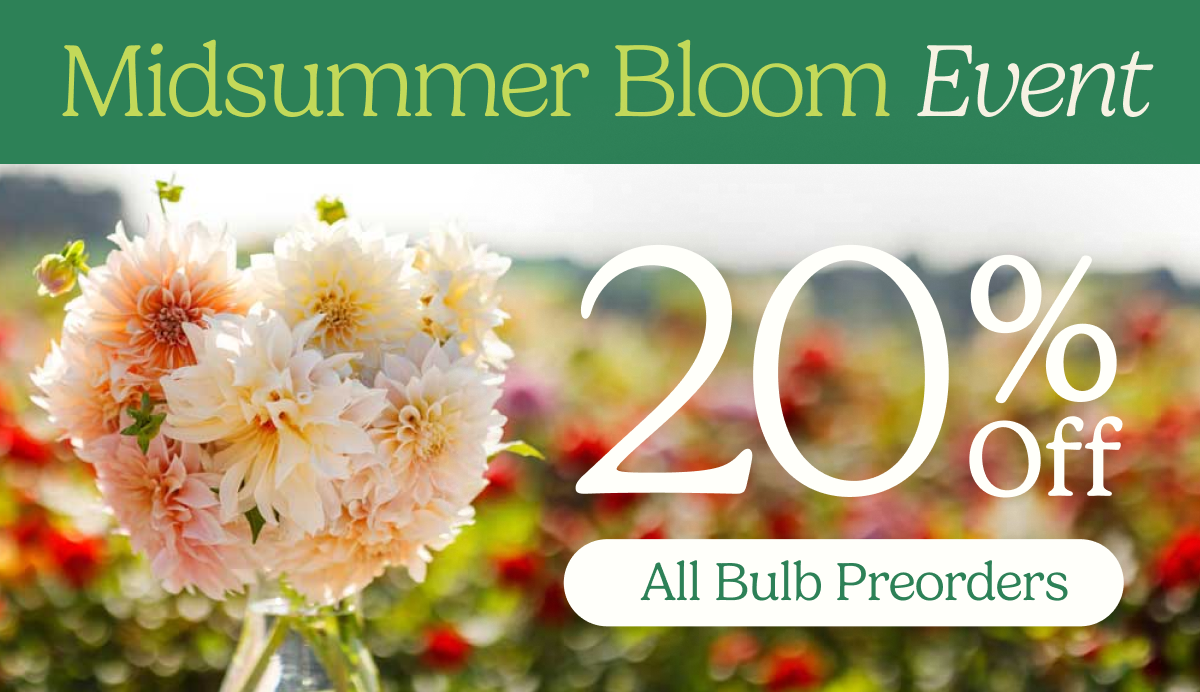 Midsummer Bloom Event – 20% Off All Bulb Preorders