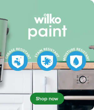 Shop wilko paint